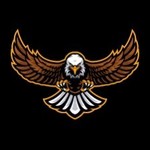 Image of Eagle Sponsor