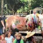 Image of Dinner & Cocktails Only