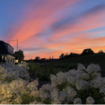 Image of Photography Sponsor