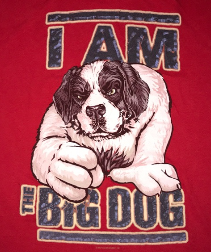 Annual ARF Open - Default Image of Big Dog Sponsor