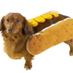 Image of Hot Dog Hole Sponsor