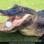 Image of One Mulligan