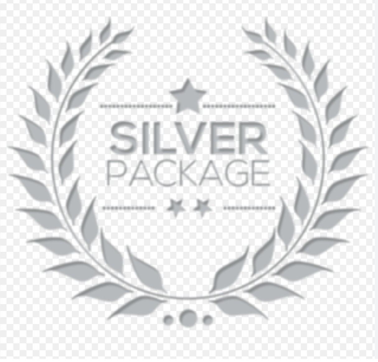 BEDA Juneteenth Golf Tournament - Default Image of Silver Sponsorship Package