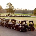 Image of Golf Cart Sponsor