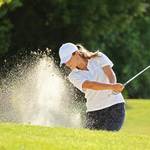 Image of Collared Shirt Sponsor