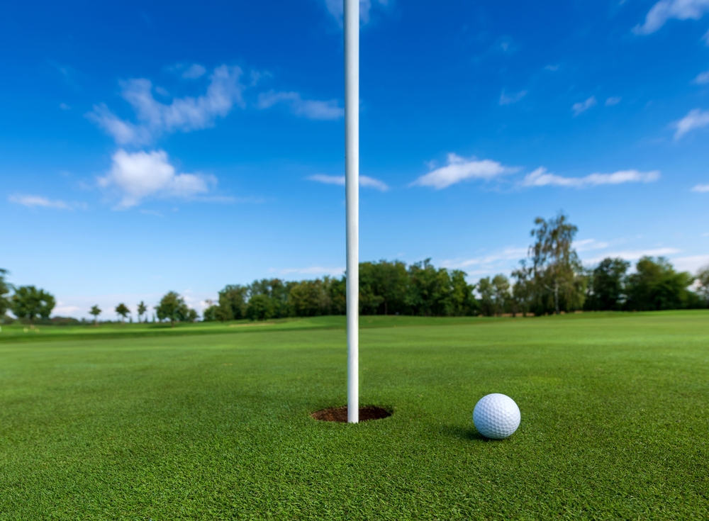 The Maestra's Masters - Default Image of "The Seeker" Closest to the Pin