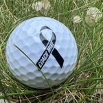 Image of Coach Mike $111 Donation to Girls Hockey