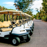 Image of Cart Sponsor