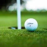 Image of Platinum Sponsor