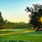 Image of Eagle Donation