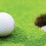 Image of Corporate Sponsor