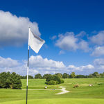 Image of Pin Flag Sponsor