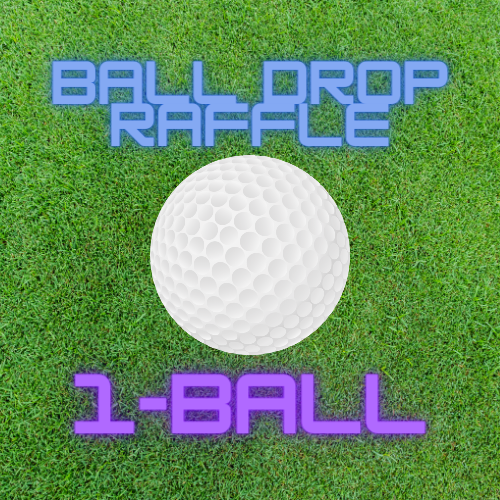CJB Swing For Our Students Back to School Scramble & Social - Default Image of Golf Ball Drop Raffle - 1 BALL