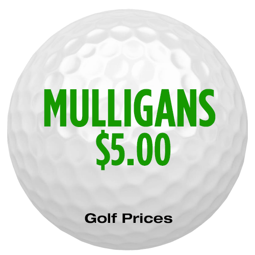 Cameron, Drew, and Kerry’s Turkey Tourney - Default Image of 1 Mulligan