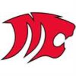 Image of Panther Sponsor