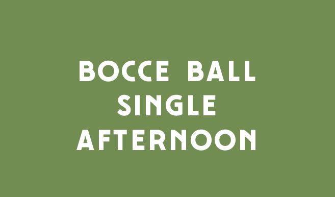 MDR Activities 2024 - Default Image of Bocce Ball Single Player PM