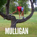 Image of THREE Mulligans 