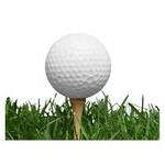 Image of White Level Sponsor