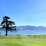 Image of Putting Contest Sponsor