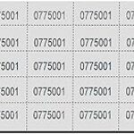 Image of Raffle Tickets