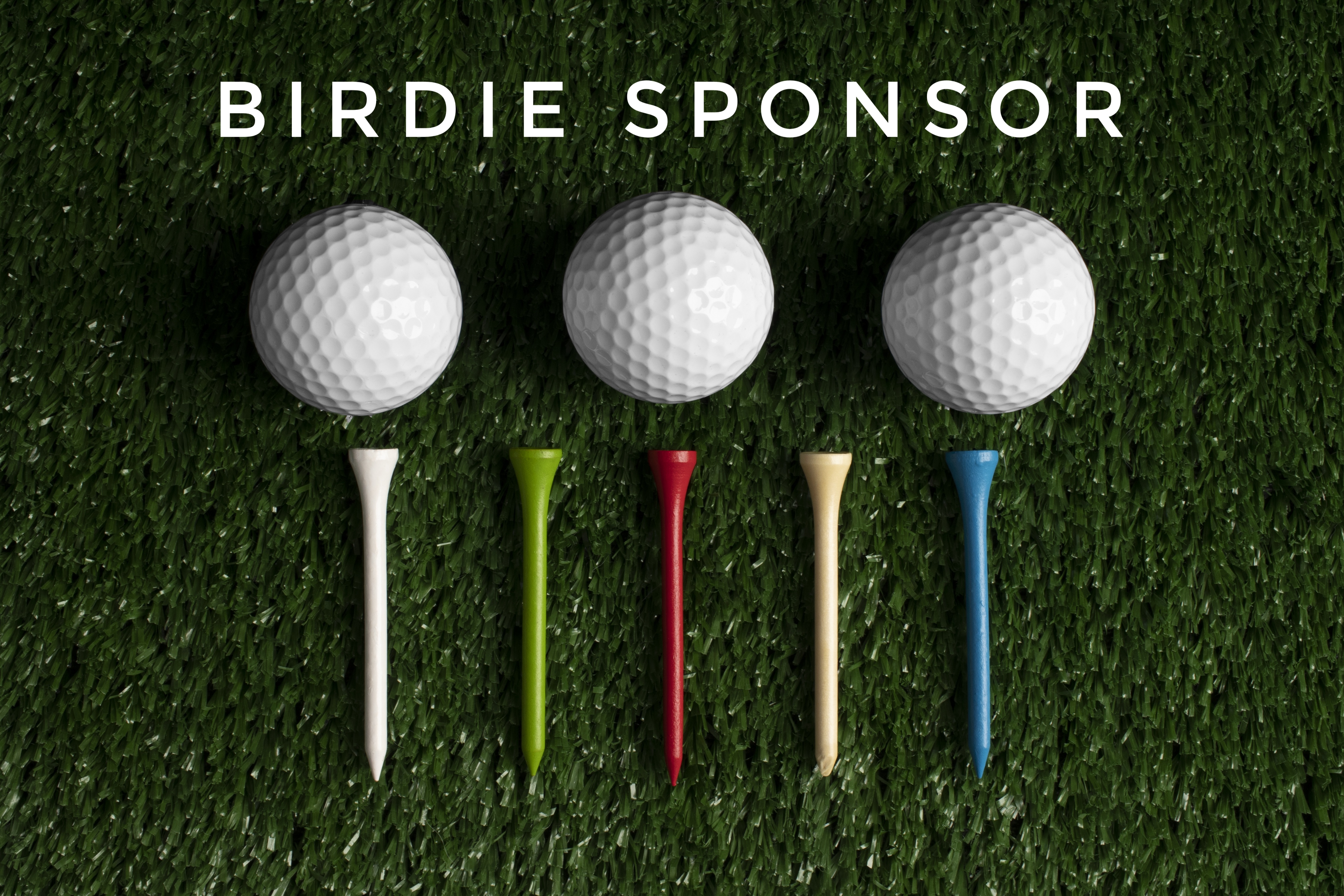 Jeff Leary Classic - Default Image of Birdie Sponsor