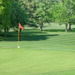 Image of Putting Contest