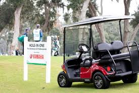 44th Annual Williston API Golf Tourney - Default Image of Black Gold