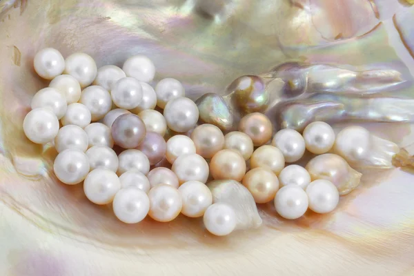 Image of Pearl Sponsor