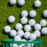 Par For A Purpose: Supporting Critically Ill Children - Default Image of Birdie - Golf Ball Sponsor