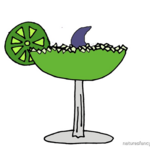 Image of Fins Up Sponsorship