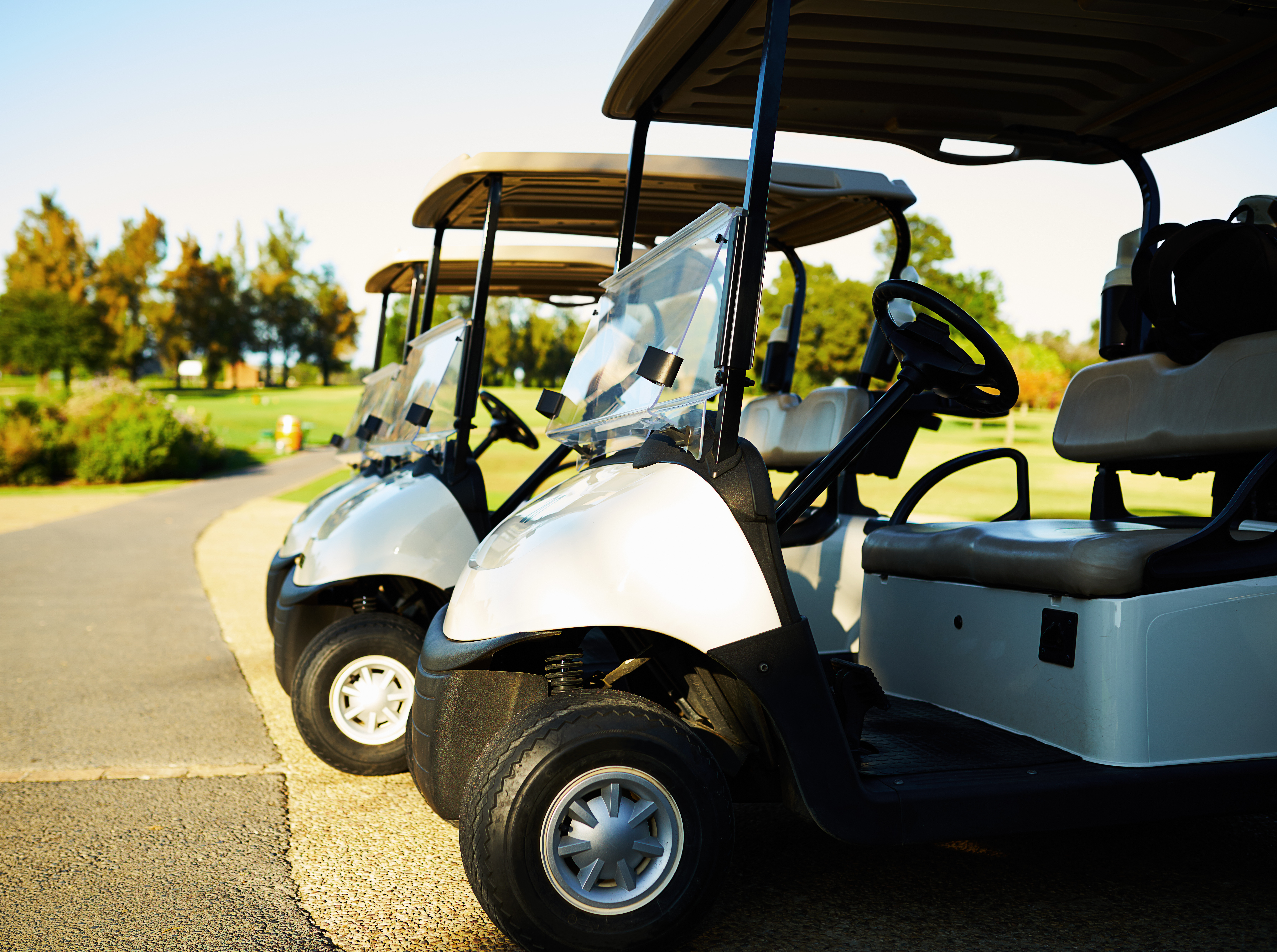 Rough & Tumble Play Association of Canada 2nd Annual Golf Tournament - Default Image of Cart Sponsor