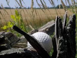 7th Hill Drive: Atlanta HBCU Golf Tournament - Default Image of Mulligan