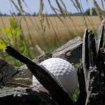 Image of Mulligan