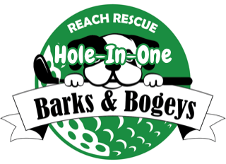 Image of Hole-In-One