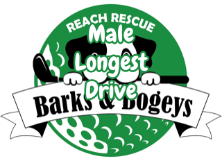 Image of Longest Drive (male)