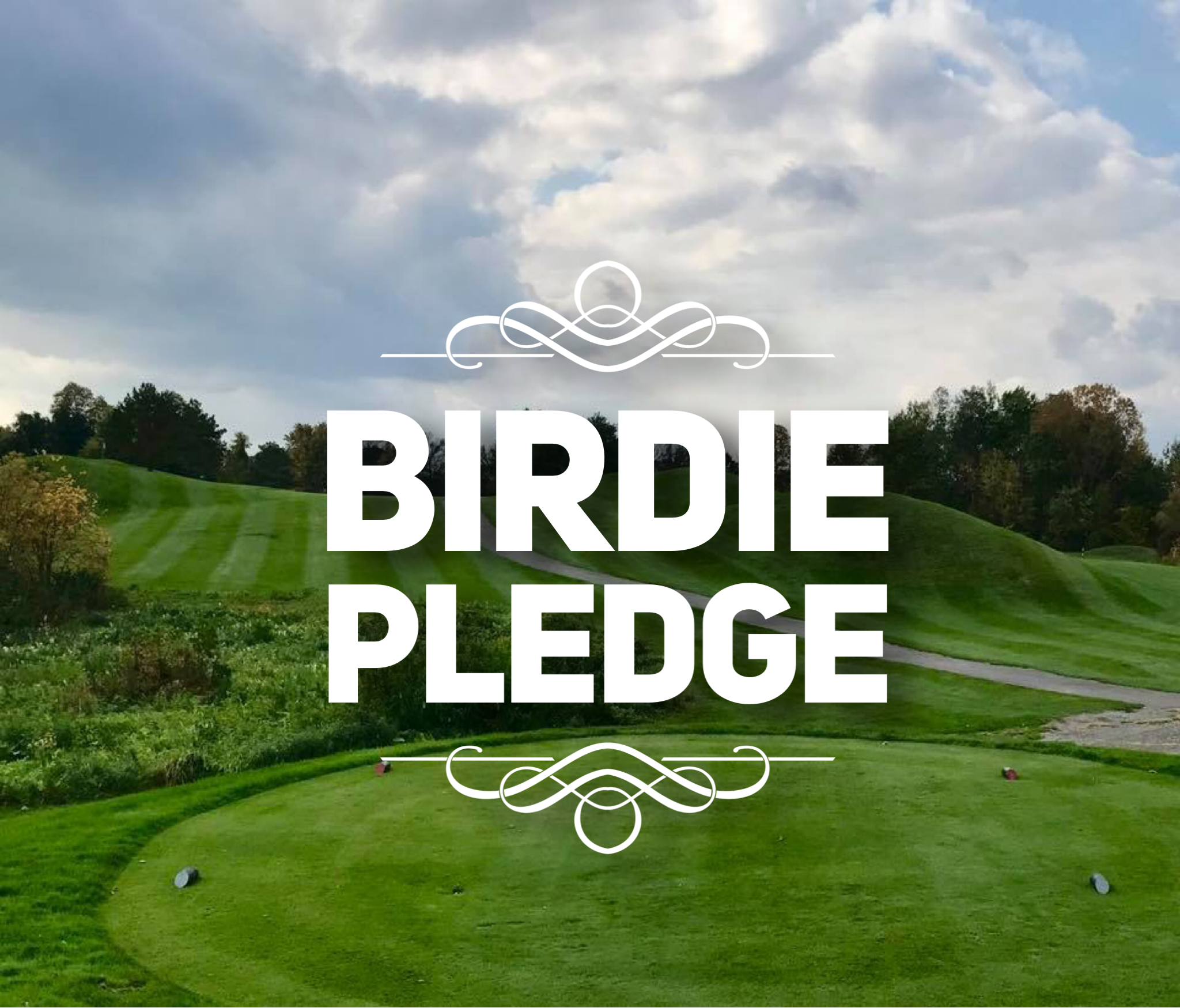 Nationals Charity Golf Classic Spring 2019 - Default Image of Birdie Pledge