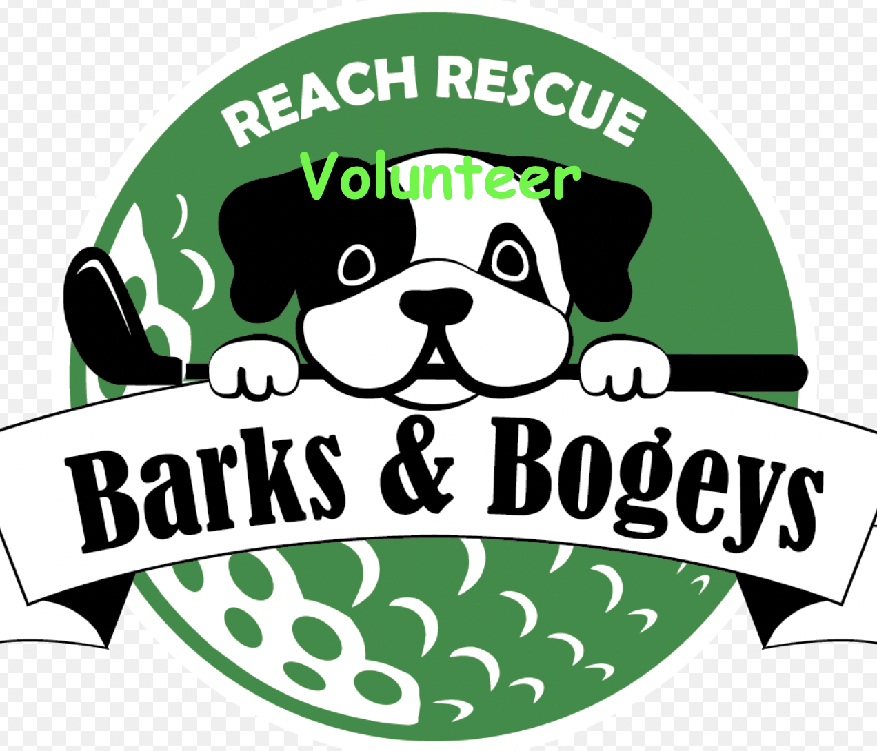 Image of Volunteer