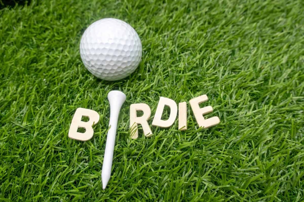Image of Birdie Sponsor