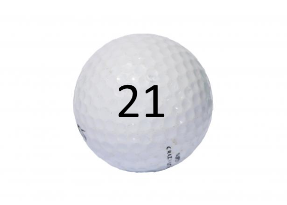 PRCEF 20th Annual Golf Outing - Default Image of Golf Ball #21