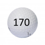 Image of Golf Ball #170