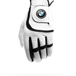 Image of Custom Golf  Glove Sponsor