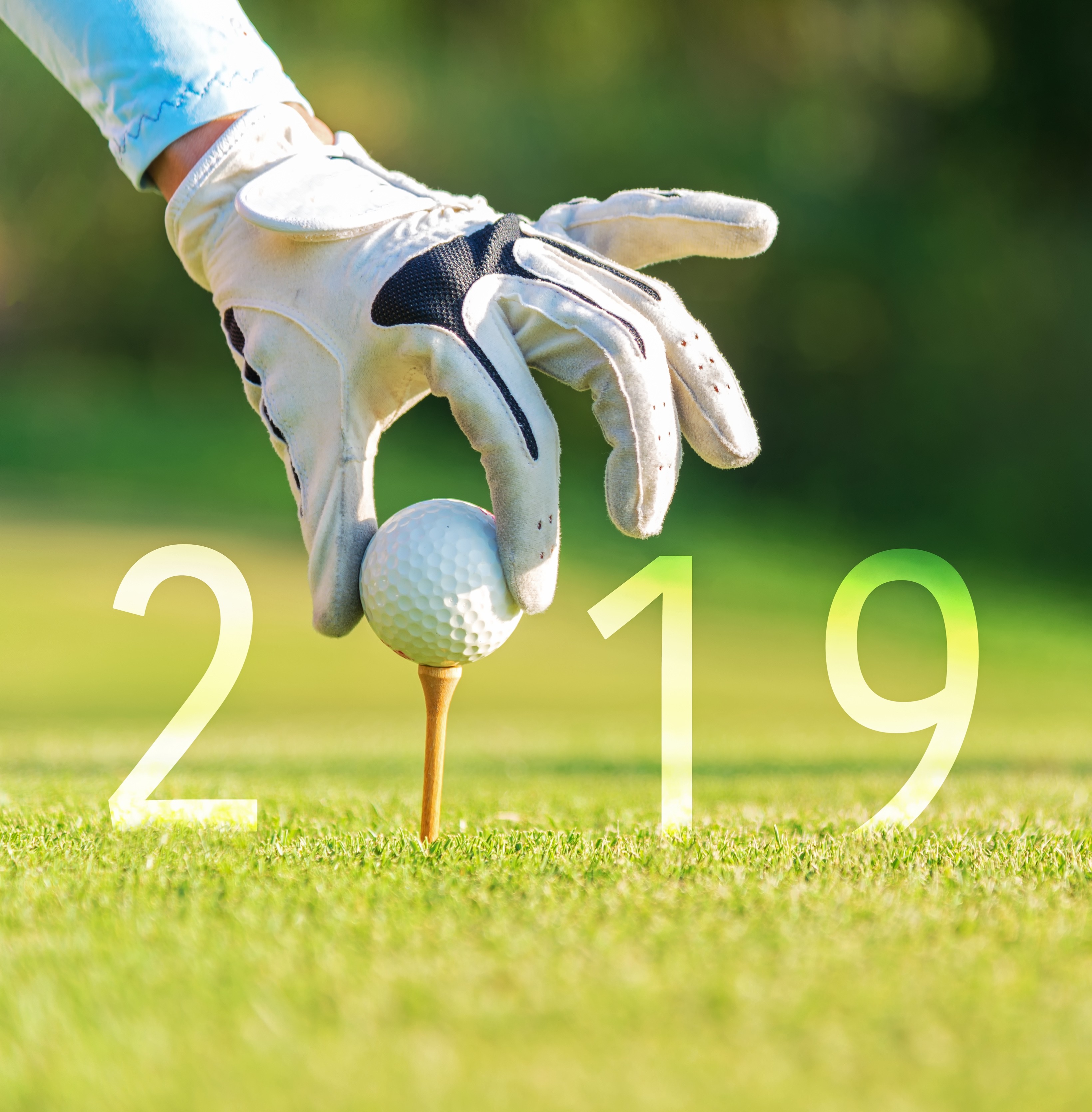 16th Annual Golf Tournament & Community Party - Default Image of Tournament Sponsor