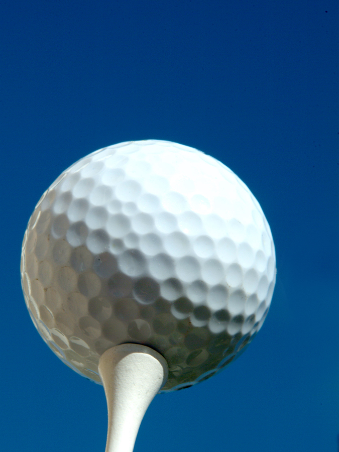 Esteban Toledo Los Cabos Pro-Am Charity Golf Tournament - Default Image of Art Gallery Sponsor