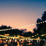 Image of Community Party Sponsor