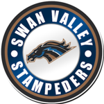 Image of GOLF BALL SPONSOR