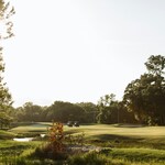 Image of Gold Package