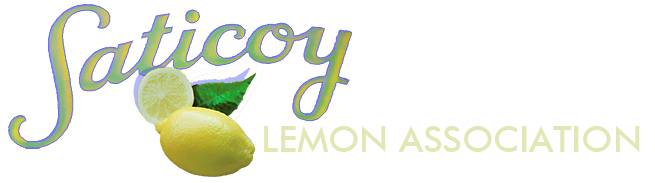 Contest Sponsor - Saticoy Lemon Associates - Logo