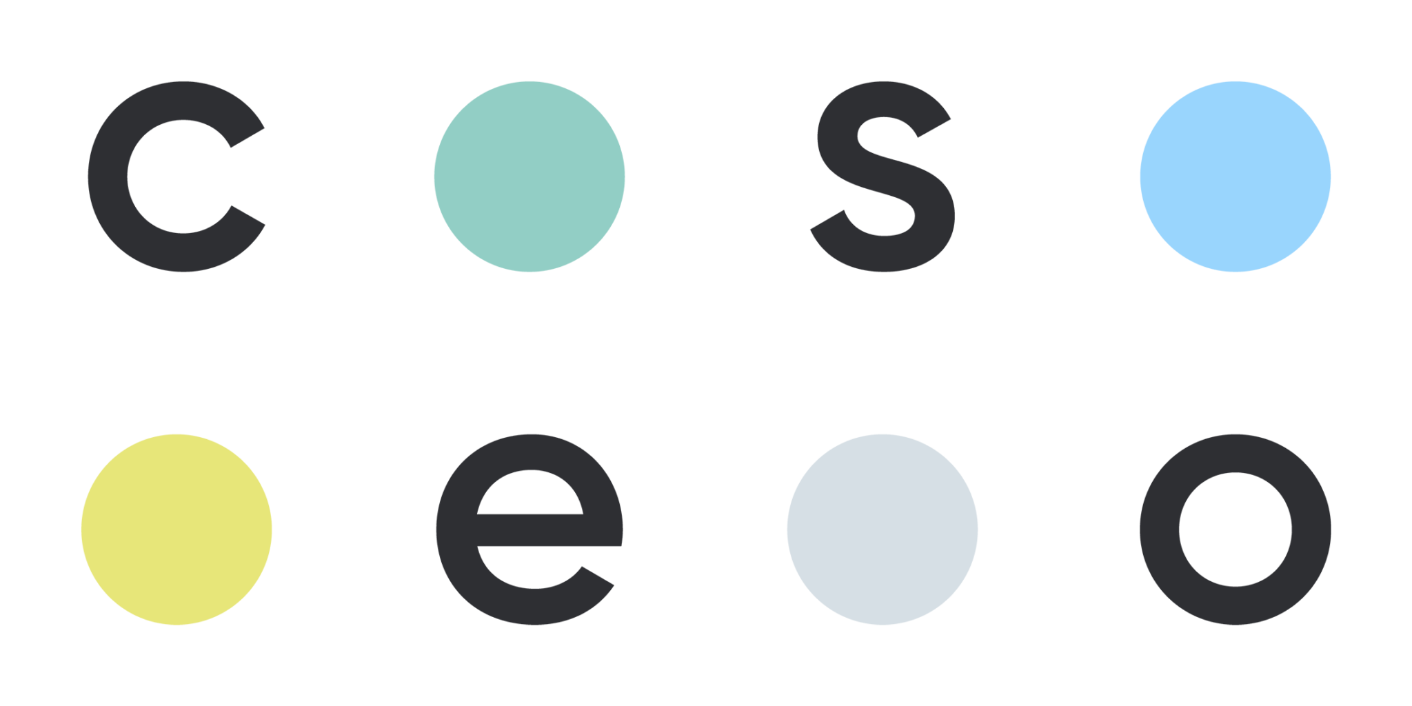 Birdie - Center for Effective School Operations - Logo