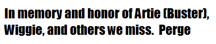 In memory and honor of Artie (Buster), Wiggie, and others we miss.  Perge