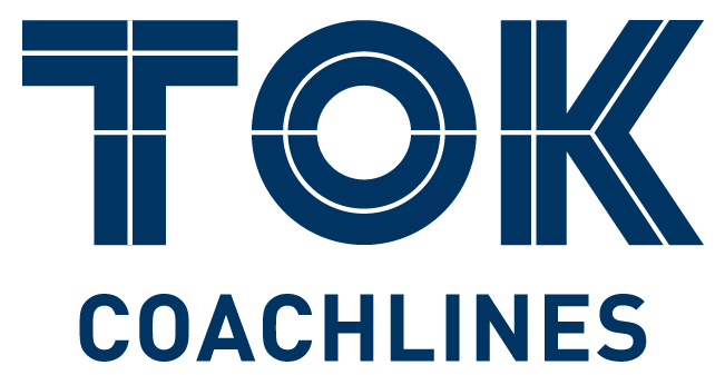 Regular Hole - TOK Group - Logo